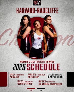 Image post by @radcliffelights on Instagram