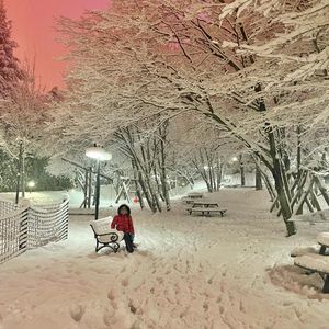 Image post by @korhansayginer on Instagram