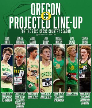 Image post by @joshua.grenade on Instagram