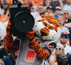 Image post by @aubiethetiger01 on Instagram