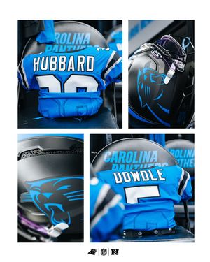 Image post by @panthers on Instagram