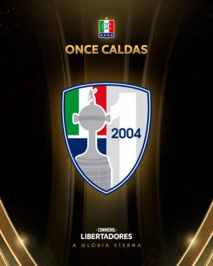 Image post by @libertadoresbr on TikTok