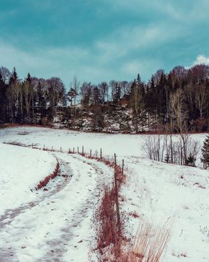 Image post by @cristan.nature.photography on Instagram
