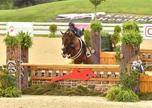 Image post by @kyhorseshows on Instagram