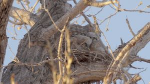 Video post by @benkelseyphotography on Facebook