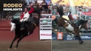 Video post by @officialcowboychannel on YouTube