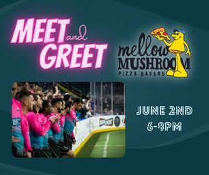 Image post by @stlouisambush on Instagram