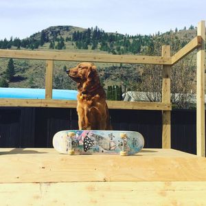 Image post by @j_skis on Instagram