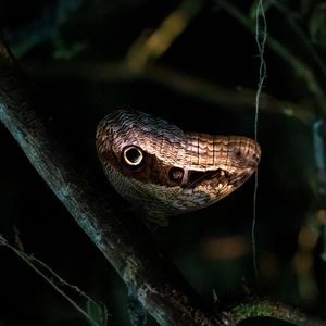 Image post by @discovery on Instagram