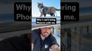 Video post by @sailing_with_phoenix on YouTube