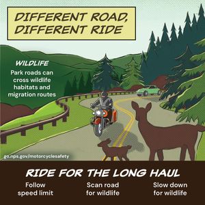Image post by @NatlParkService on Twitter