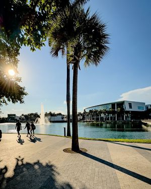 Image post by @univmiami on Instagram