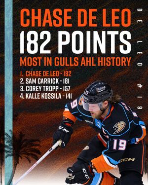 Image post by @sdgullsahl on Instagram