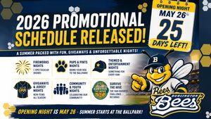 Image post by @burlington_bees on Instagram