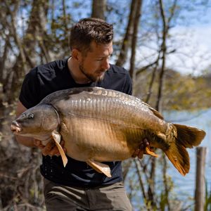 Image post by @brothercarp on Instagram