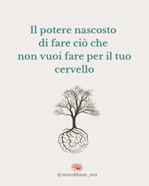 Image post by @neurobloom_noa on Instagram