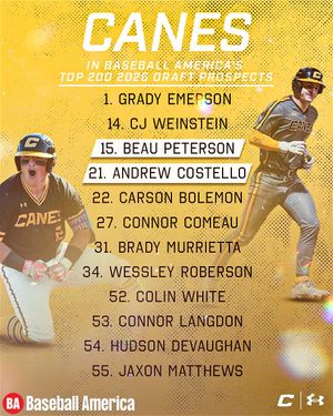 Image post by @thecanesbb on Instagram