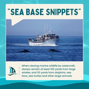 Image post by @longbeachseabase on Instagram