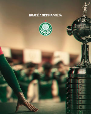 Image post by @palmeiras on Instagram