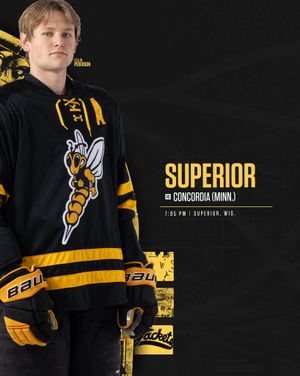 Image post by @uwsmhky on Instagram