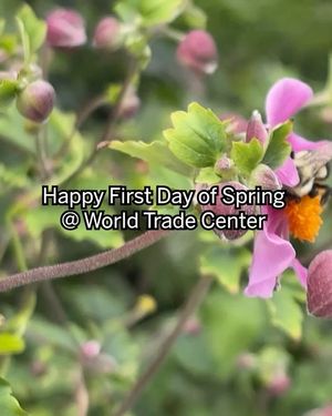 Image post by @explorewtc on Instagram