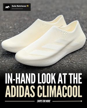 Image post by @soleretriever on Instagram