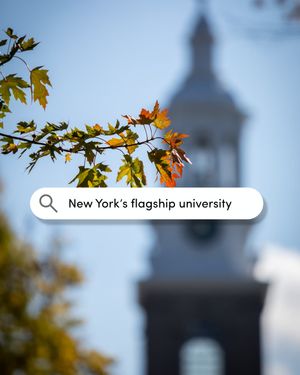 Image post by @universityatbuffalo on Instagram