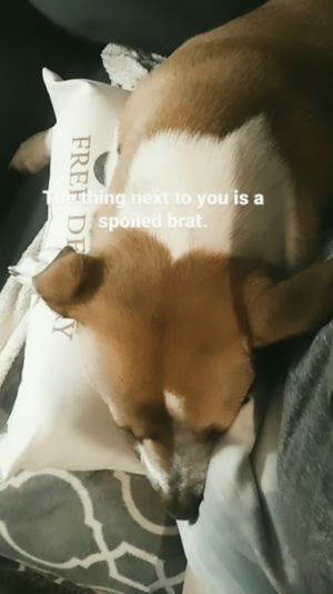 Video post by @alyshiafaith on Instagram