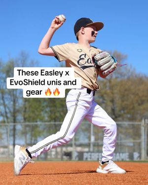 Video post by @evoshield on TikTok