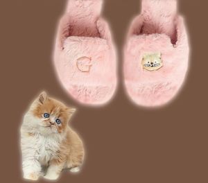 Image post by @pantudog on Instagram
