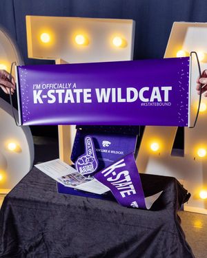 Image post by @kansasstatebound on Instagram