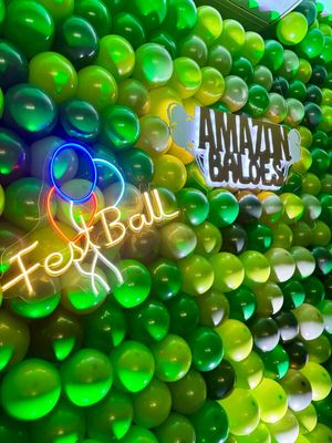 Image post by @baloesfestball on Instagram