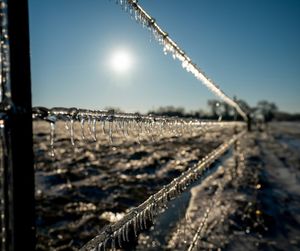 Image post by @txextension on Instagram