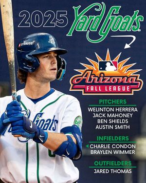 Image post by @hartfordyardgoats on Instagram