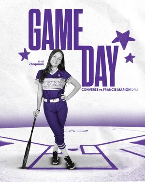 Image post by @valkyriessoftball on Instagram