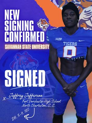 Image post by @savstatetigers on Instagram