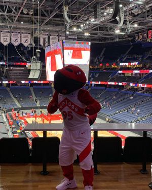 Image post by @95theraptor on Instagram