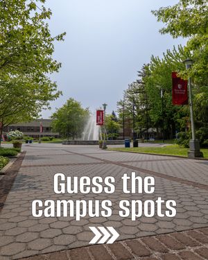 Image post by @stonybrooku on Instagram