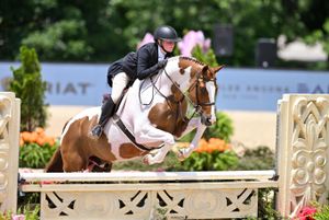Image post by @usequestrian on Instagram