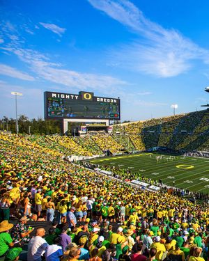 Image post by @goducks on Instagram