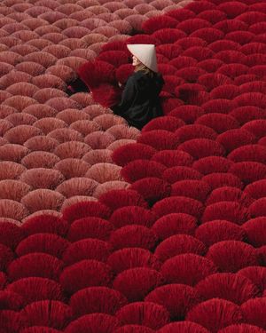 Image post by @fubiz on Instagram
