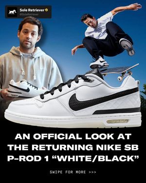 Image post by @soleretriever on Instagram