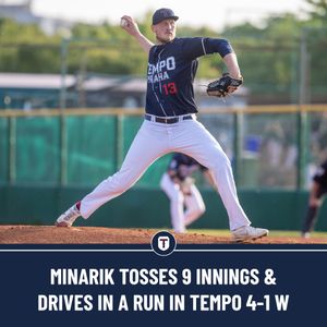 Image post by @BaseballCzech on Twitter