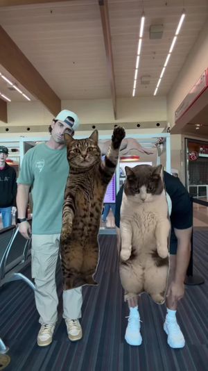 Video post by @tannerthomas_ on TikTok