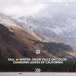 Video post by @foxweather on TikTok