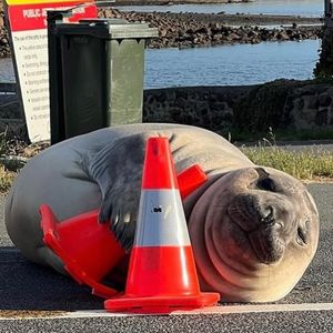 Image post by @chrisyandle on Instagram