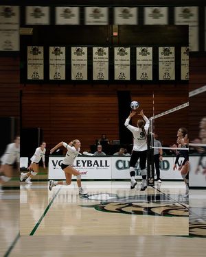 Image post by @charwebsterphoto on Instagram