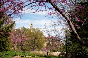 Image post by @westerniluniv on Instagram