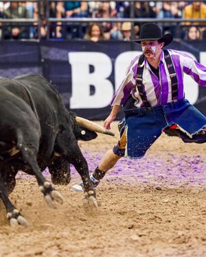 Image post by @ultimatebullfighters on Instagram