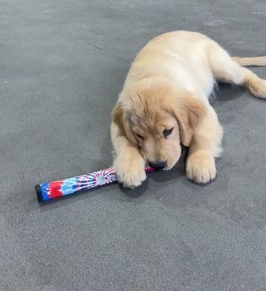 Image post by @superstrokegolf on Instagram